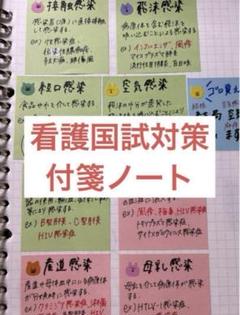 看護師国試対策付箋ノート Amazon.co.jp: ！現品発送看護師国家試験対策 付箋ノート250枚