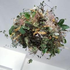 【特価】スモークツリー ミモザ フライングリース 27cm 【7】ドライフラワー スモークツリーのフライングリース ドライフラワー petit