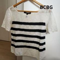 BCBGMAXAZRIA レース×ストライプ半袖カットソーS