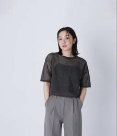 新品❗️NATURAL BEAUTY BASICクロップドシアーニットTシャツ