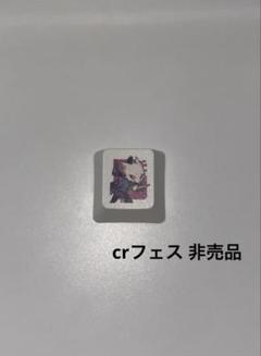 CRチップス 缶バッジ ステッカー CRフェス キーキャップ Cpt Crazy Raccoon Cpt CRフェス 缶バッジ チェキカ コレカ カード