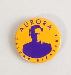 2025年最新】平沢進 AURORAの人気アイテム - メルカリ