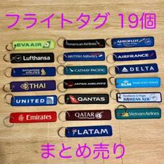 ユナイテッド航空 プレミア1K バゲージタグ □2024.03. ユナイテッド航空 プレミアゴールドのタグ