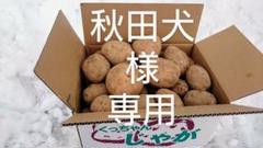 北海道産 じゃが芋とうや 外・割れセット