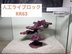 ❖新品アク抜き不要 人工ライブロック 60cm海水水槽用 レプリカ 多孔質安い9 501032-3.jpg
