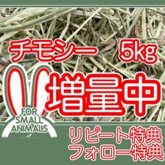 カナダ産　チモシー　5kgのサムネイル