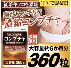 大容量!2袋 濃縮コンブチャ 360粒 6カ月分