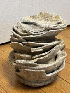 山茶碗猿投平安時代古陶器 Amazon.co.jp: e 山茶碗 平安鎌倉時代 遺跡発掘品 陶器/行基焼