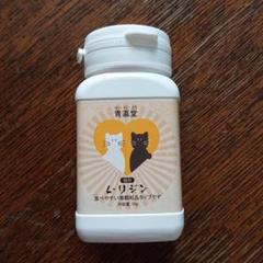 青瀛堂 L-リジン