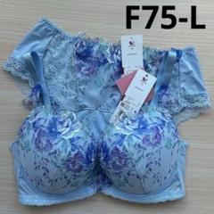 ワコール ルジェ ハッピーFitブラ 魔法の島 F75 下着 上下セット