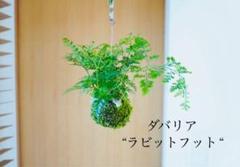 リバライズ ラビットフット　ゴースト　S9.0M【稀少　美品】 リバライズ ラビットフット ゴースト S9.0M【稀少 美品】