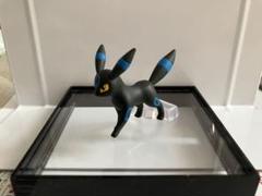 ブラッキー　ポケモン　スケールワールド　色違いのサムネイル