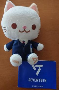 2025年最新】セブチ猫ぬいぐるみの人気アイテム - メルカリ