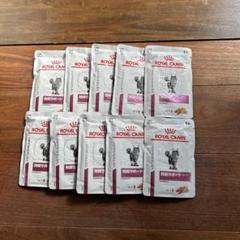 腎臓サポートスペシャル 500g×5 CIAO 総合栄養食バラエティ 37本 腎臓サポートスペシャル 500g×5 CIAO 総合栄養食バラエティ 37本