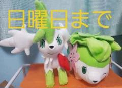 １着でも送料無料 ポケモン シェイミ 等身大 非売品 ぬいぐるみ ぬいぐるみ Tyramanning Com