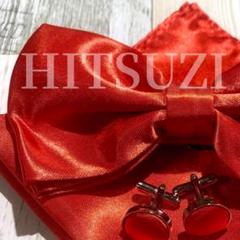 蝶ネクタイ　チーフ　レッド　赤　新郎　お得　３点セット　結婚式　Gpfr