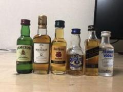 お酒ミニボトル
