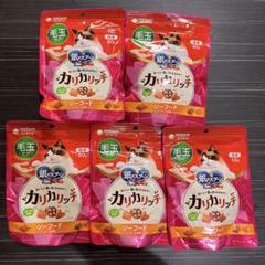 銀のスプーン カリカリッち シーフード 60g×5袋　毛玉ケアのサムネイル