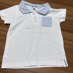 jacadi ジャカディ　半袖　ポロシャツ　24M 88cm 白　ストライプ