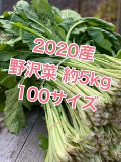 ★2020年産★ 野沢菜 約5kg M-168