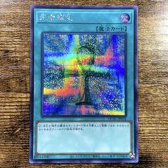 遊戯王　死者蘇生　ラッシュ　シク 遊戯王死者蘇生ラッシュシク