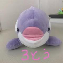 須磨シーワールド♡オルカくじ3等