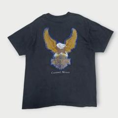 90s 希少　ハーレーダビッドソン　イーグル Tシャツ　美品 激レア 90s ビンテージ ハーレーダビッドソン Tシャツ 有名人