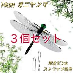 オニヤンマ科 標本 Ar 2025年最新】標本 オニヤンマの人気アイテム - メルカリ