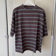 24ss TIGRE BROCANTE ティグルブロカンテ アイビーボーダーT