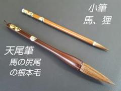 2025年最新】掛軸 狸の人気アイテム - メルカリ
