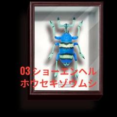 ニ*ン様 大型ドイツ箱　標本箱　中古　約42×51×6　⑦ バードウィング製 ドイツ型標本箱 大型・厚型BW80 【茶