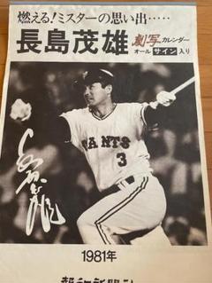長嶋茂雄　激写カレンダー　オールサイン入り　1981年　報知新聞社　昭和 長嶋茂雄 激写カレンダー オールサイン入り 1981年 報知新聞社