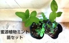 日本ミントセット 2013 2014 2018 2019 2025年最新】Yahoo!オークション -2013年 ミントセットの中古品