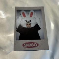 StrayKids SKZOO ポラロイド リノ