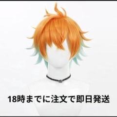 宇佐美リト風　セット済ウィッグ Amazon.co.jp: Vtuber宇佐美リト 変身後コスプレウィッグ ネット