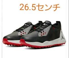 【完売品】Nike Air Jordan ADG 2 スパイク