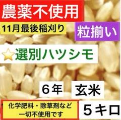 白米10キロWizard_Seller様 白米10キロWizard_Seller様