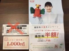 スタジオマリオ 紹介優待券 キャビネプリント