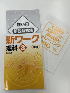 新ワーク 理科 3 カラー版 啓林館　解答解説付き