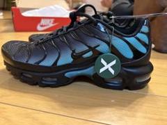 【新品】NIKE AIR MAX PLUS BLACK DUSTY CACTUS