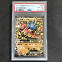 2025年最新】Mルカリオex psa10の人気アイテム - メルカリ