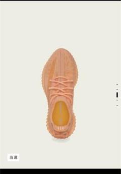 Yeezy boost 350 V2 Mono Clay 27.5cm