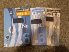 中学受験新演習 理科 小6下