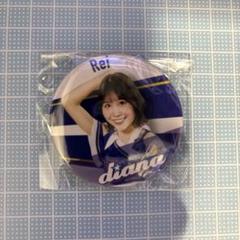 diana Rei うちわ　アクキー　缶バッジ　セット　アクスタ diana Rei うちわアクキー缶バッジセットアクスタ - タレント