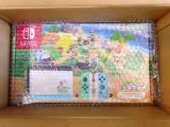 Nintendo Switch 本体 同梱 あつまれどうぶつの森 セット