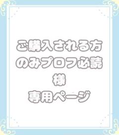 即購入大歓迎！商品説明・プロフィ必読！ 2025年最新】プロフ必読の人気アイテム - メルカリ