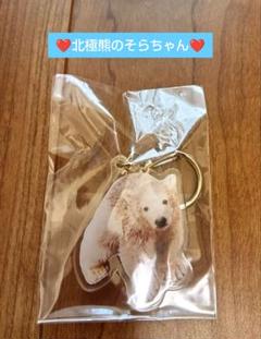 八木山動物公園 ツインポーラベア　そらちゃん♀キーホルダーのサムネイル