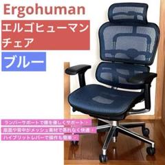 エルゴヒューマン チェアErgohuman Basic ベーシック ブルー