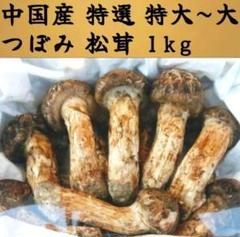 2025年最新】松茸 中国 つぼみの人気アイテム - メルカリ