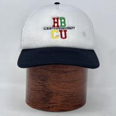 オールバニー 大学 スーベニア メッシュ キャップ カレッジロゴ 刺繍 古着